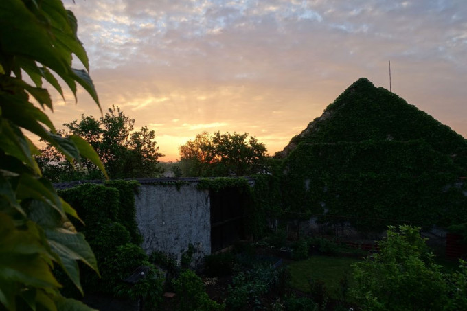 DSC07326