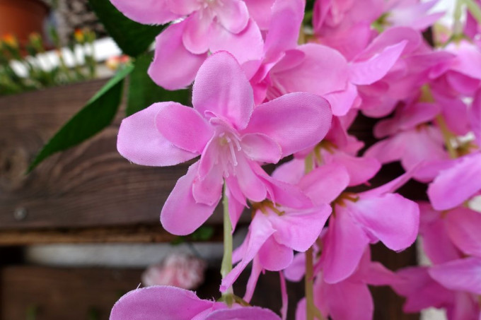 DSC08001