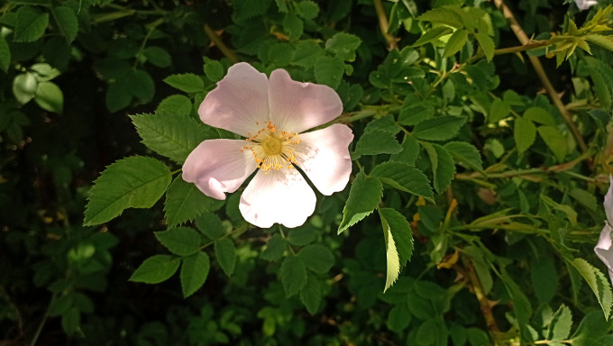IMG_20220526_163537