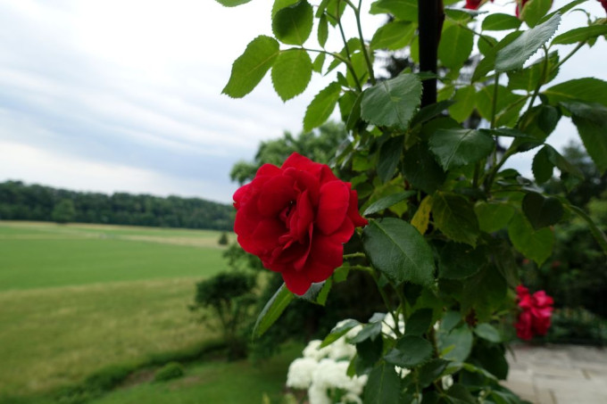 DSC08467