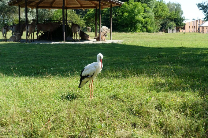 DSC08589