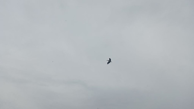 IMG_20220820_164359
