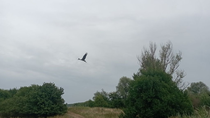 IMG_20220820_164400_1