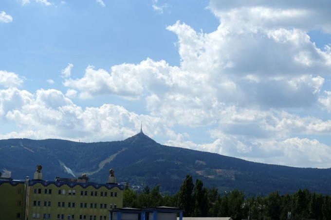 DSC09354
