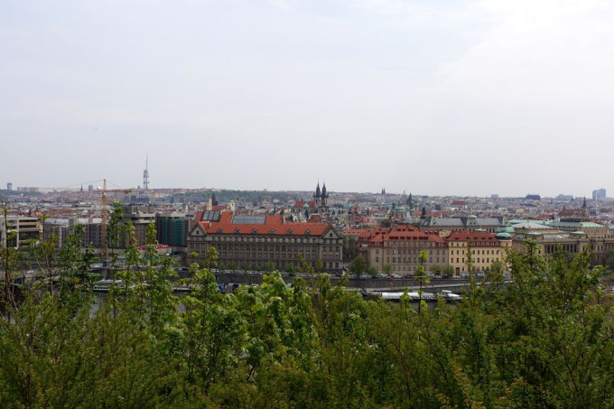 DSC07031
