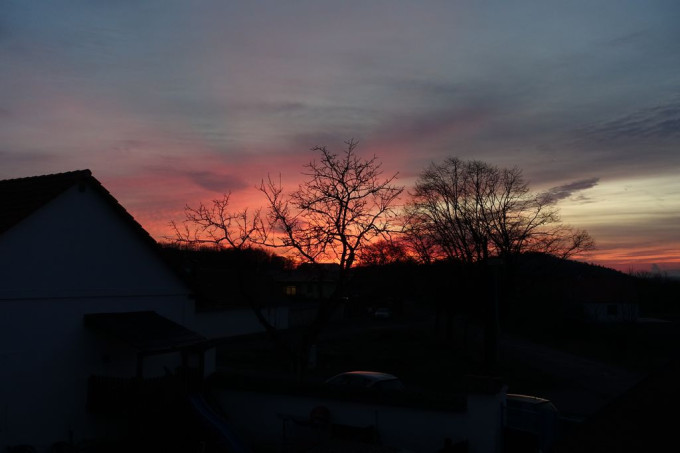 DSC01498