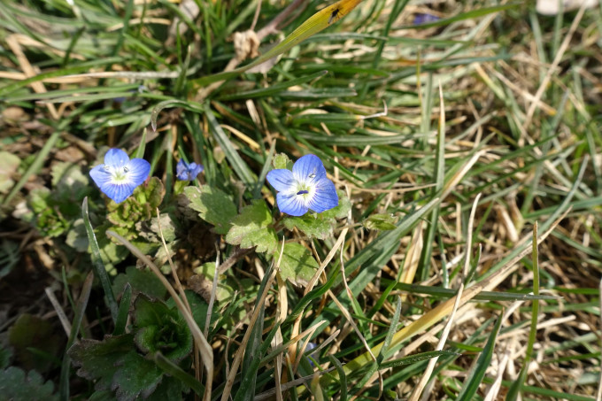 DSC01716