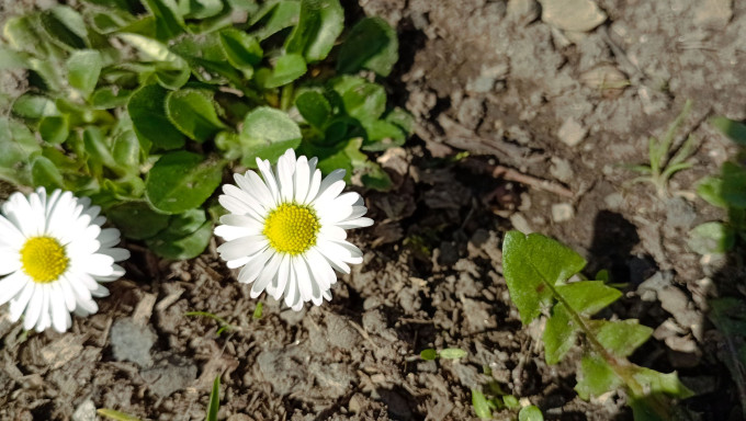 IMG_20230322_112018