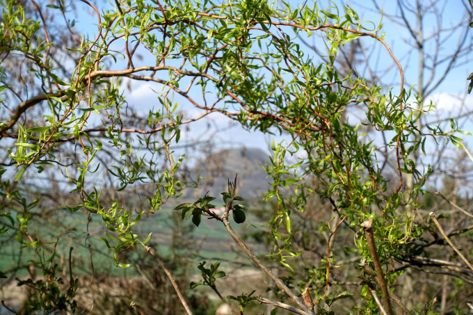 DSC01902