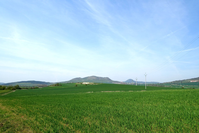 DSC01998