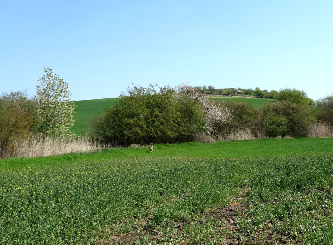 DSC02027