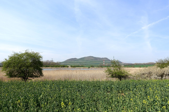 DSC02032
