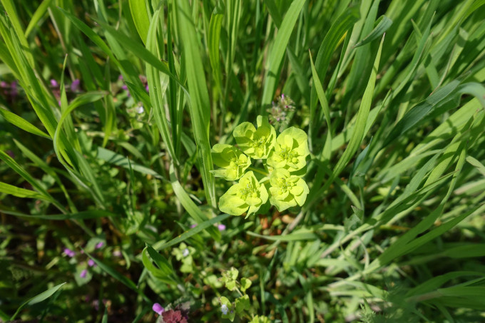 DSC02066