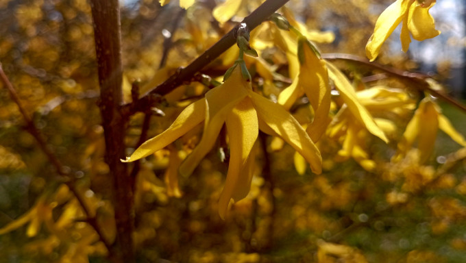 IMG_20230406_112307