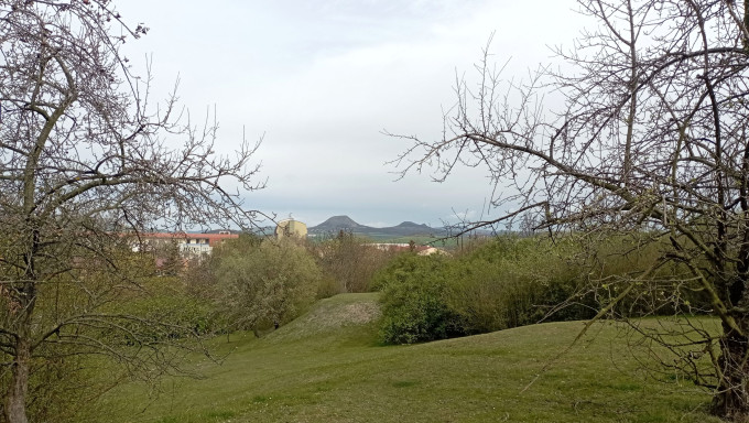 IMG_20230413_113557