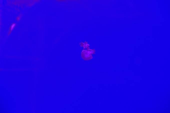 DSC02361