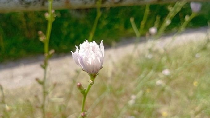 IMG_20230627_113541