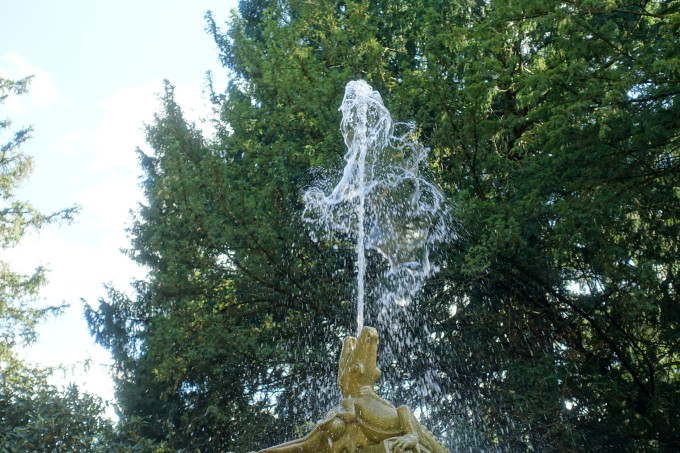 DSC03641