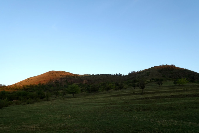 DSC04437