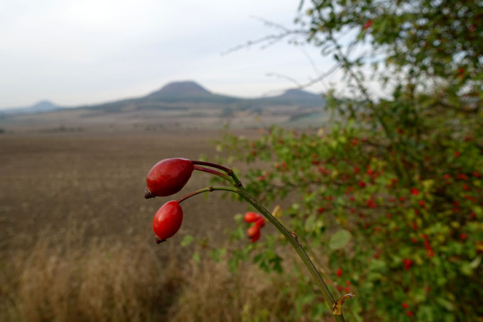 DSC05015
