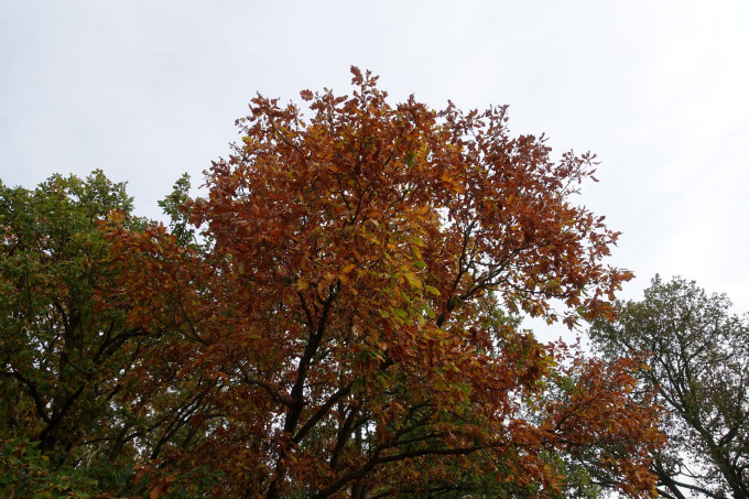 DSC05038