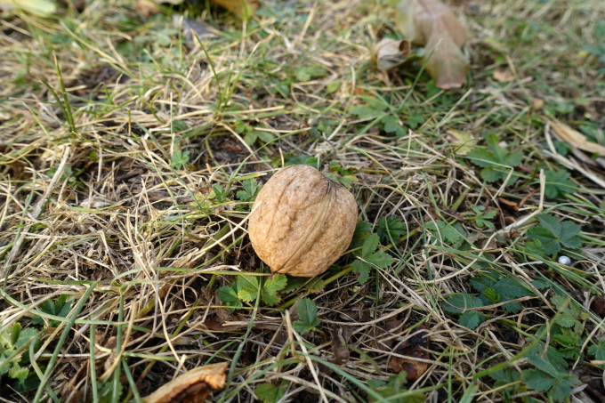 DSC05109
