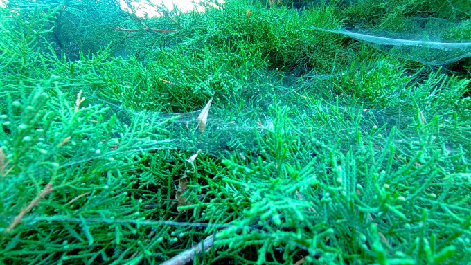 IMG_20230920_115206