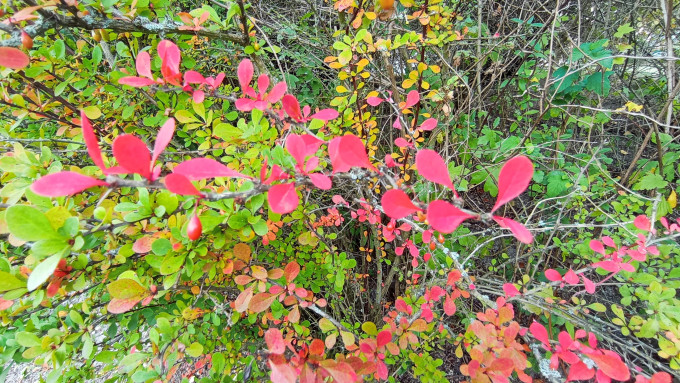 IMG_20231003_113032