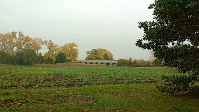 IMG_20231024_160721