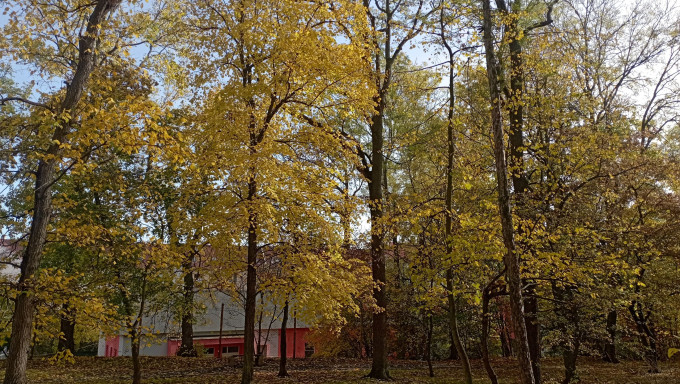IMG_20231030_112149