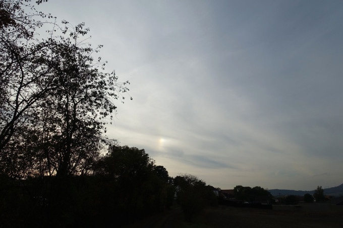 DSC05081