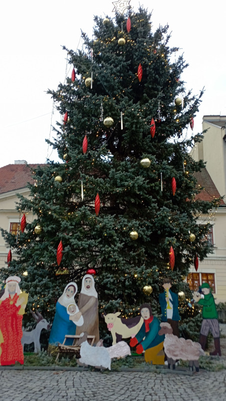 IMG_20231212_152420