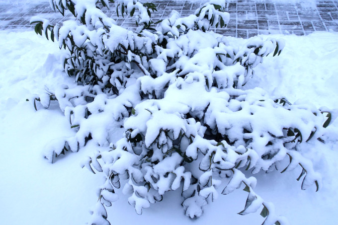 DSC05518