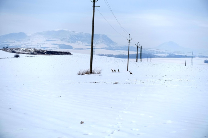 DSC05535