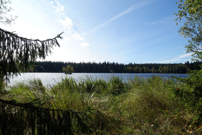 DSC04985