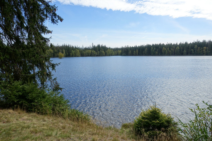 DSC05009