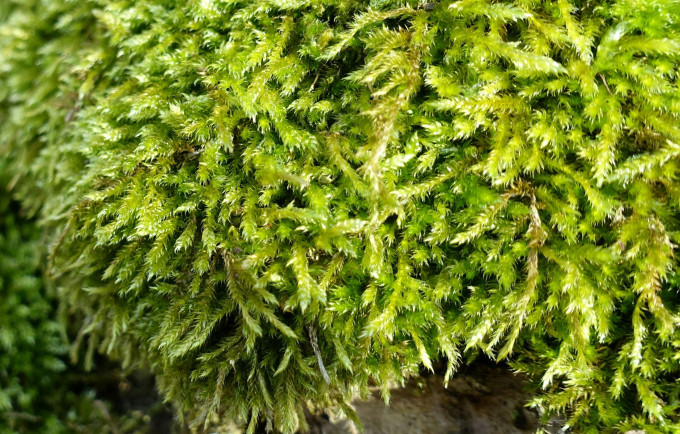 DSC05664