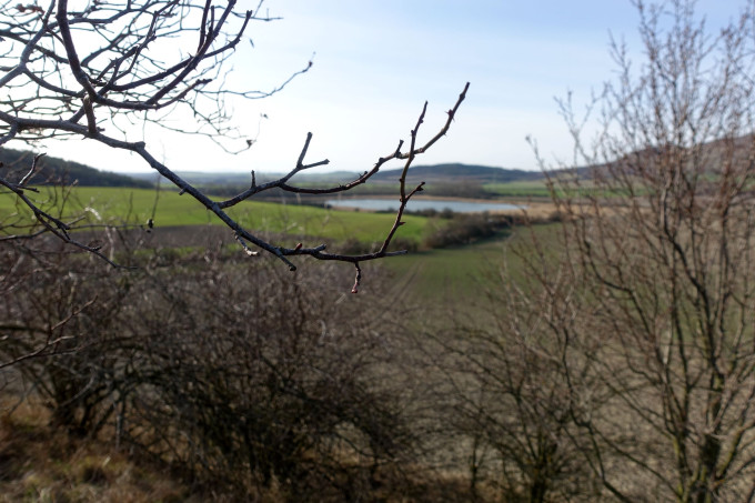 DSC05731
