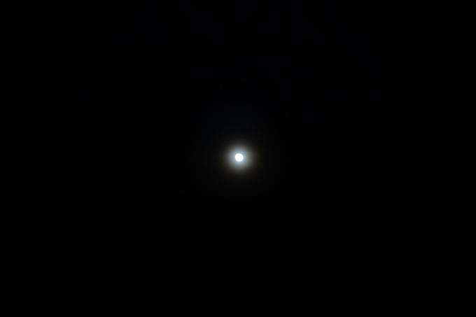 DSC05838
