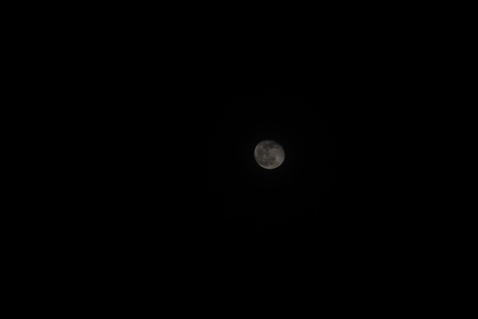 DSC05850