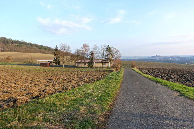 DSC05993