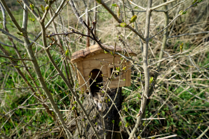DSC06023