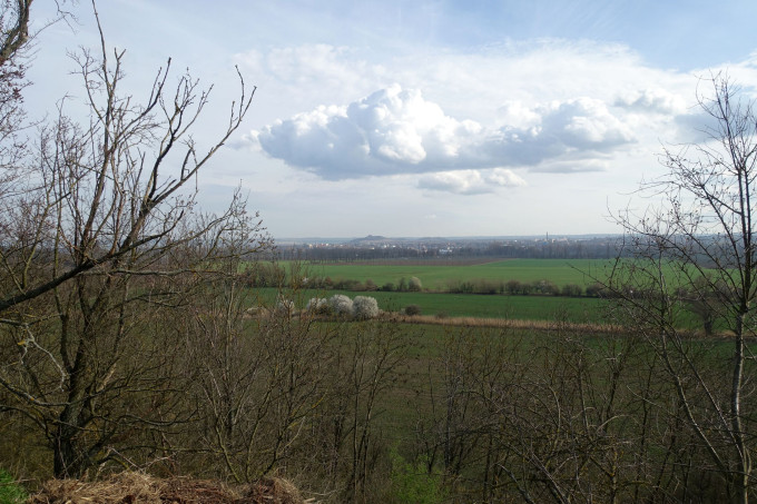 DSC06025