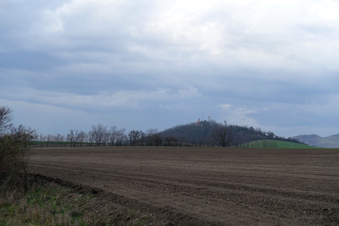 DSC06047