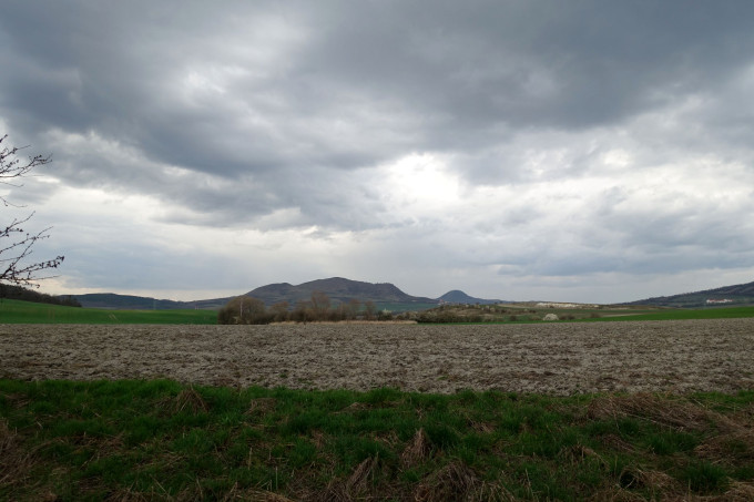 DSC06085