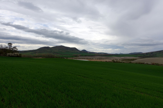 DSC06411