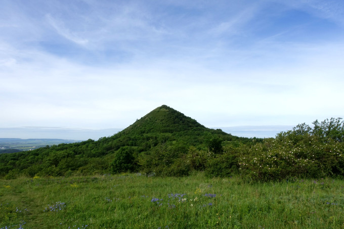 DSC07411