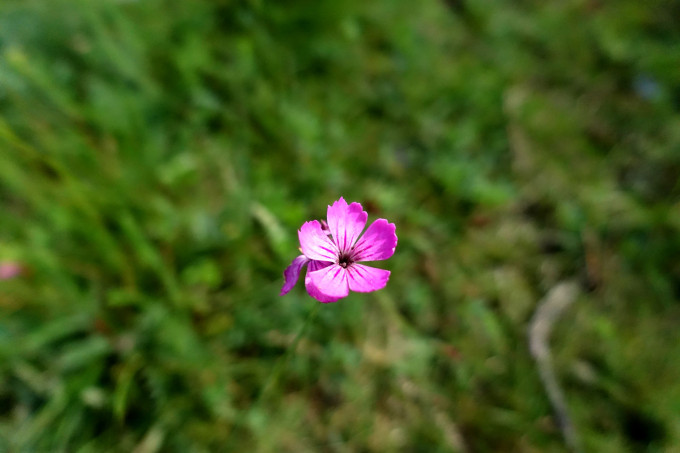 DSC07415