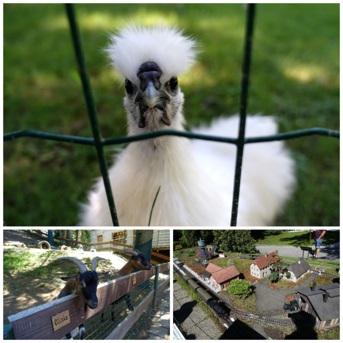 photo-collage