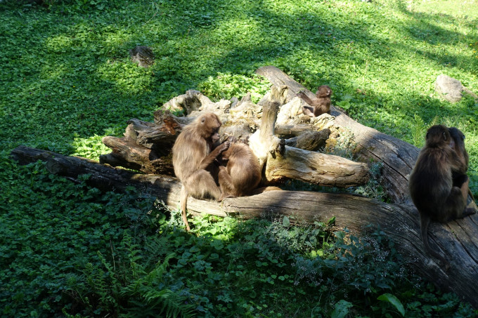 DSC08240